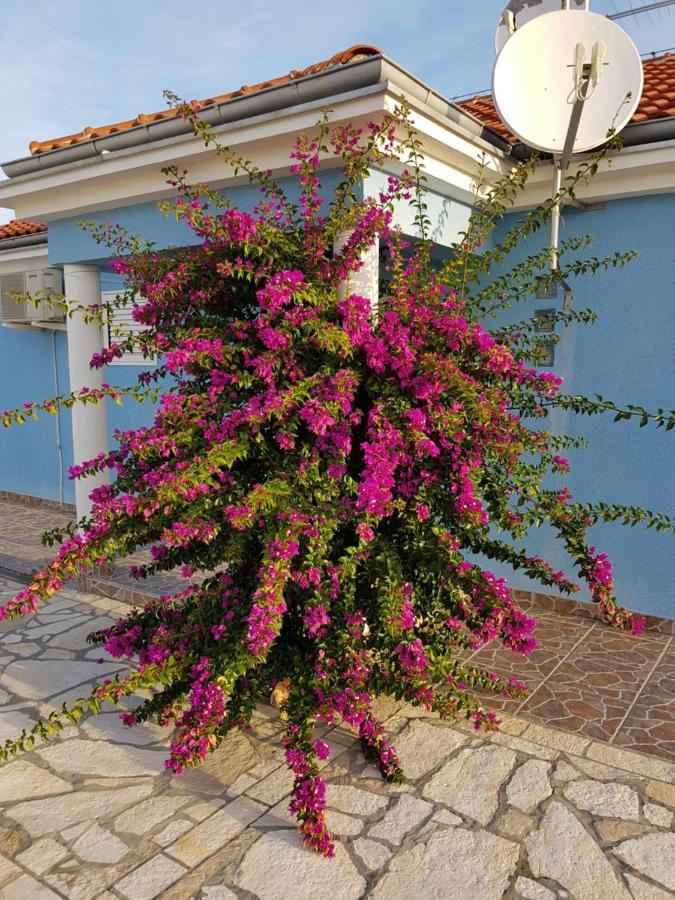 Holiday Home Ankica ราชานาส ภายนอก รูปภาพ